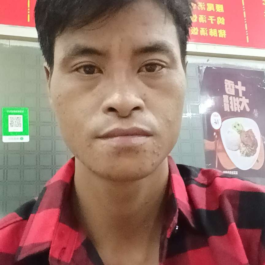 夏露停止细心的照片