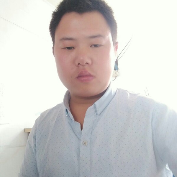 美丽含羞草的照片