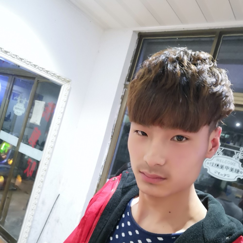 愉快小猫咪的照片