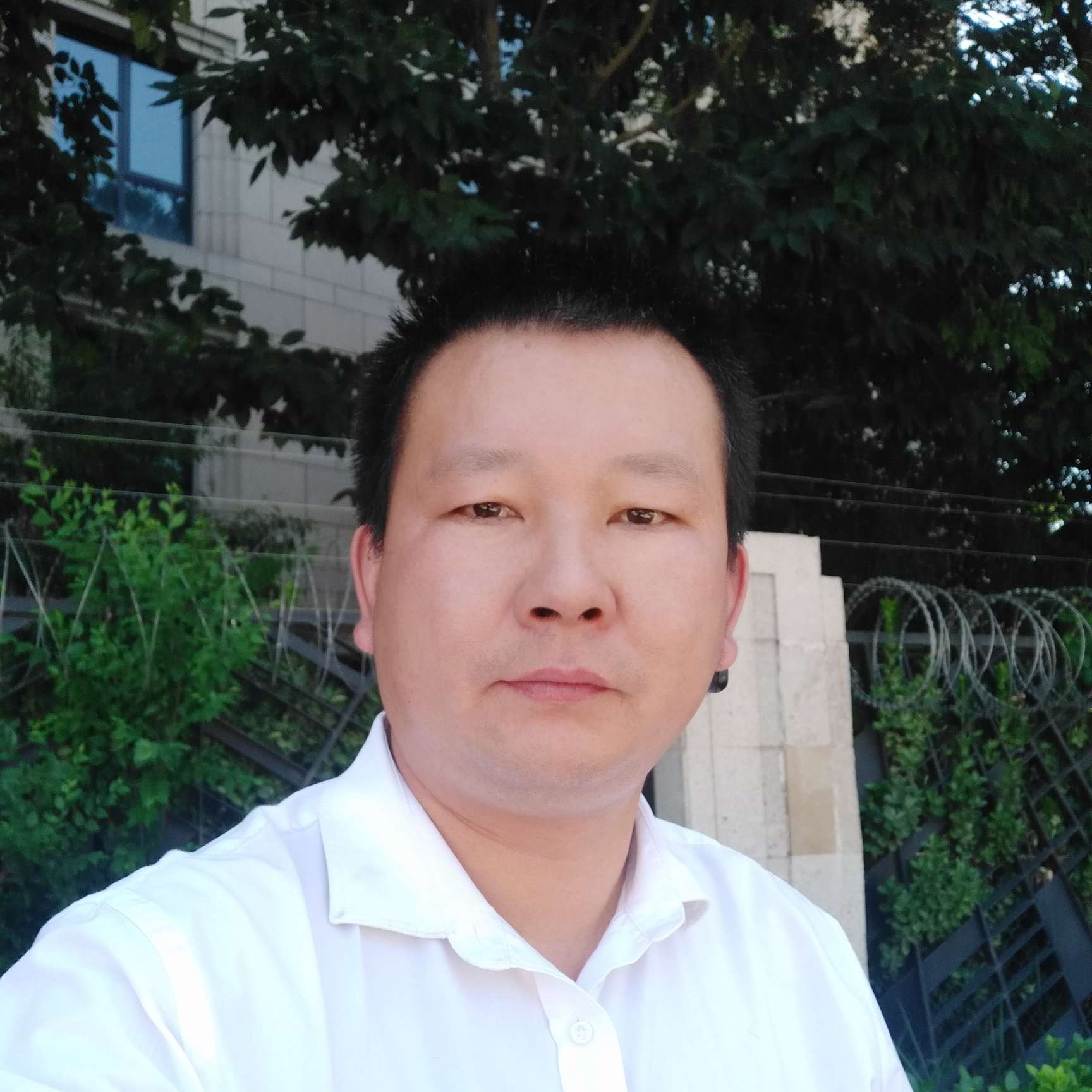 轻松回首酸奶的照片