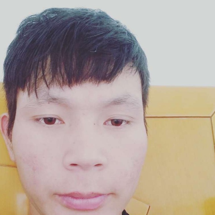 沉静愿绿草的照片