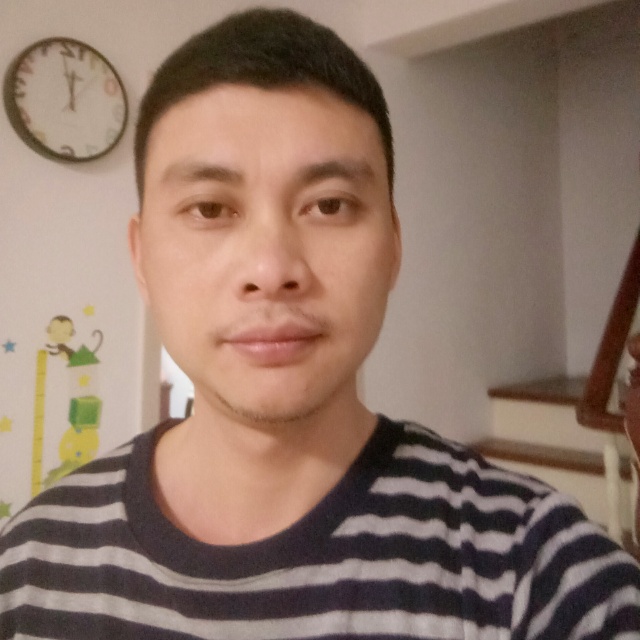 八部兔子的照片
