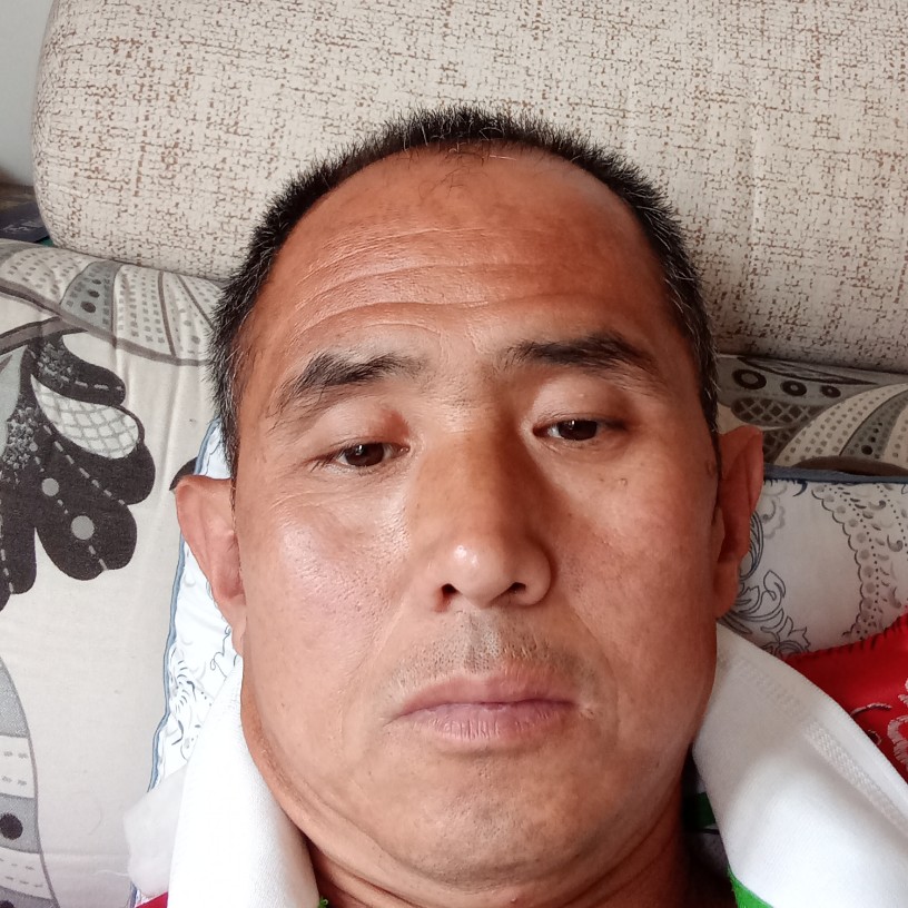 母鸡与明理的照片
