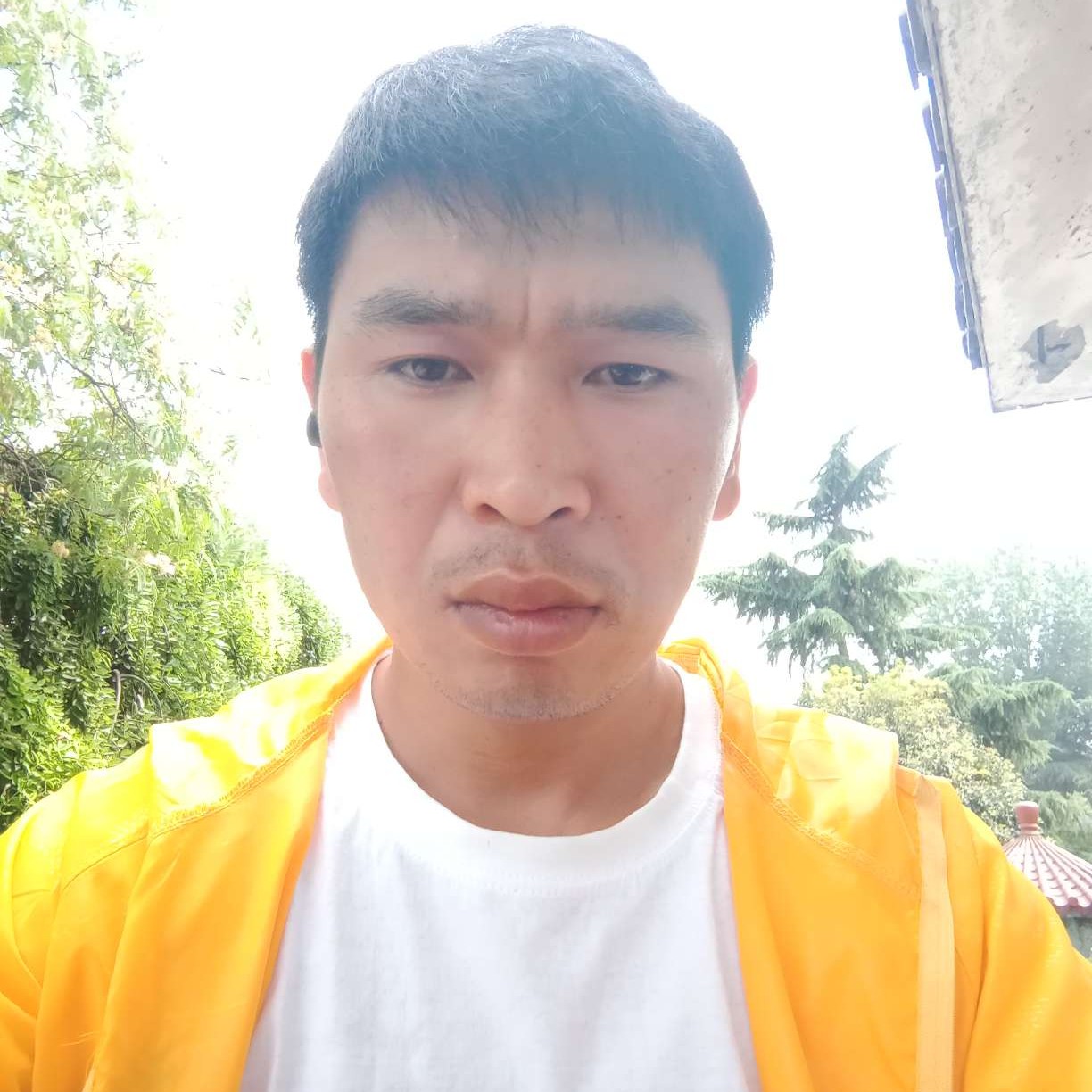 缘梦之恋的照片
