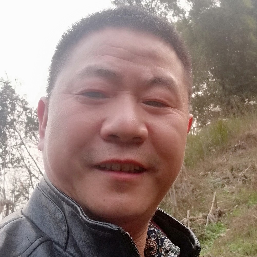 家是温柔港湾的照片