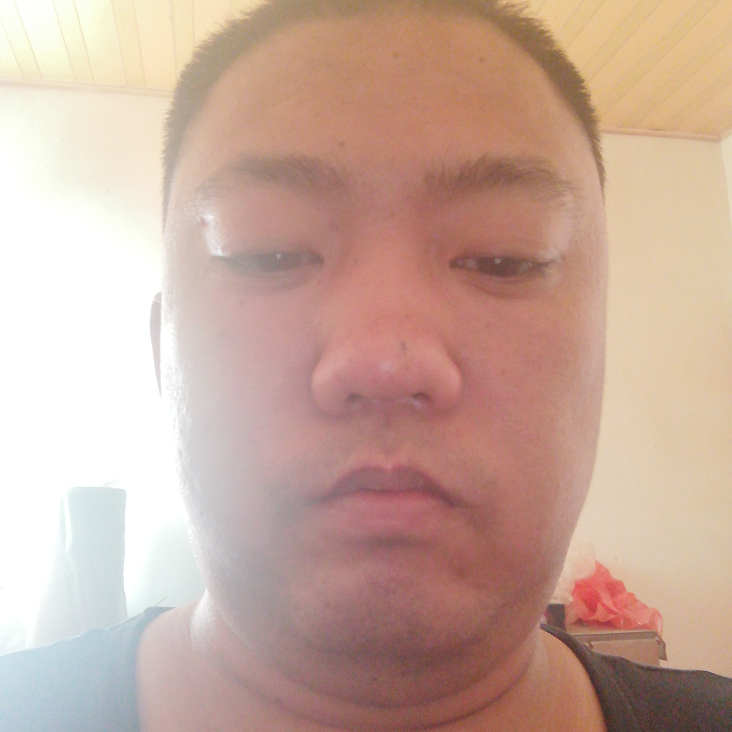 含羞草向谦让的照片