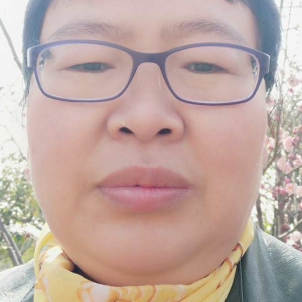小蝴蝶稳重的照片