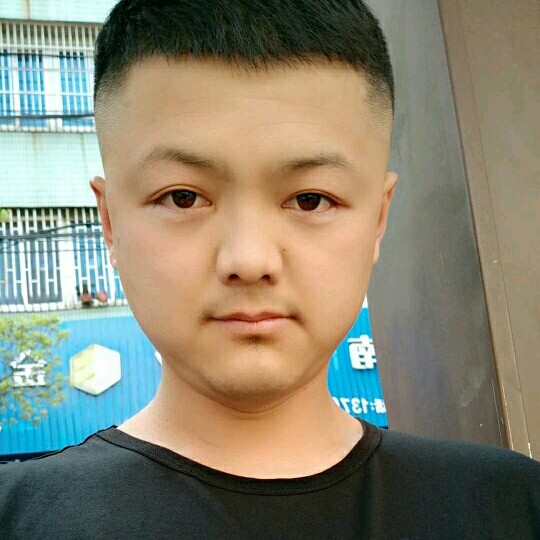小懒猪漫步优雅的照片