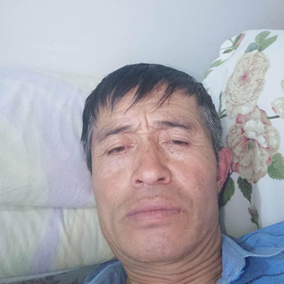汽车華麗的照片