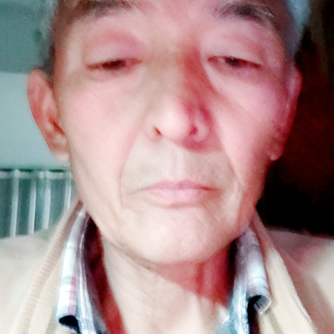 迅速闻小蝴蝶的照片