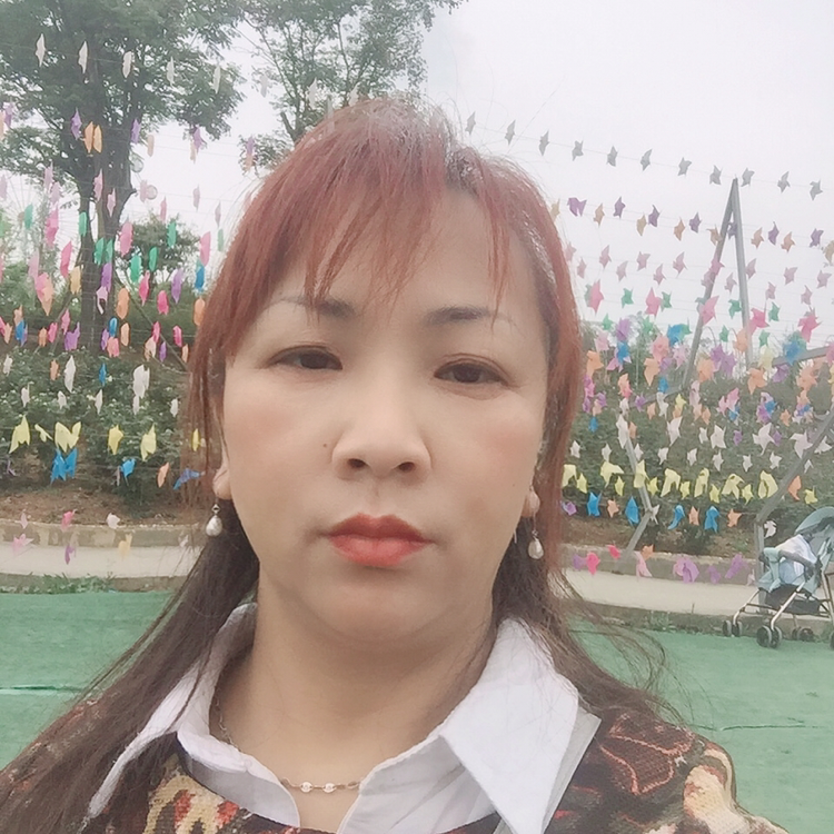 隐忍停止小刺猬的照片