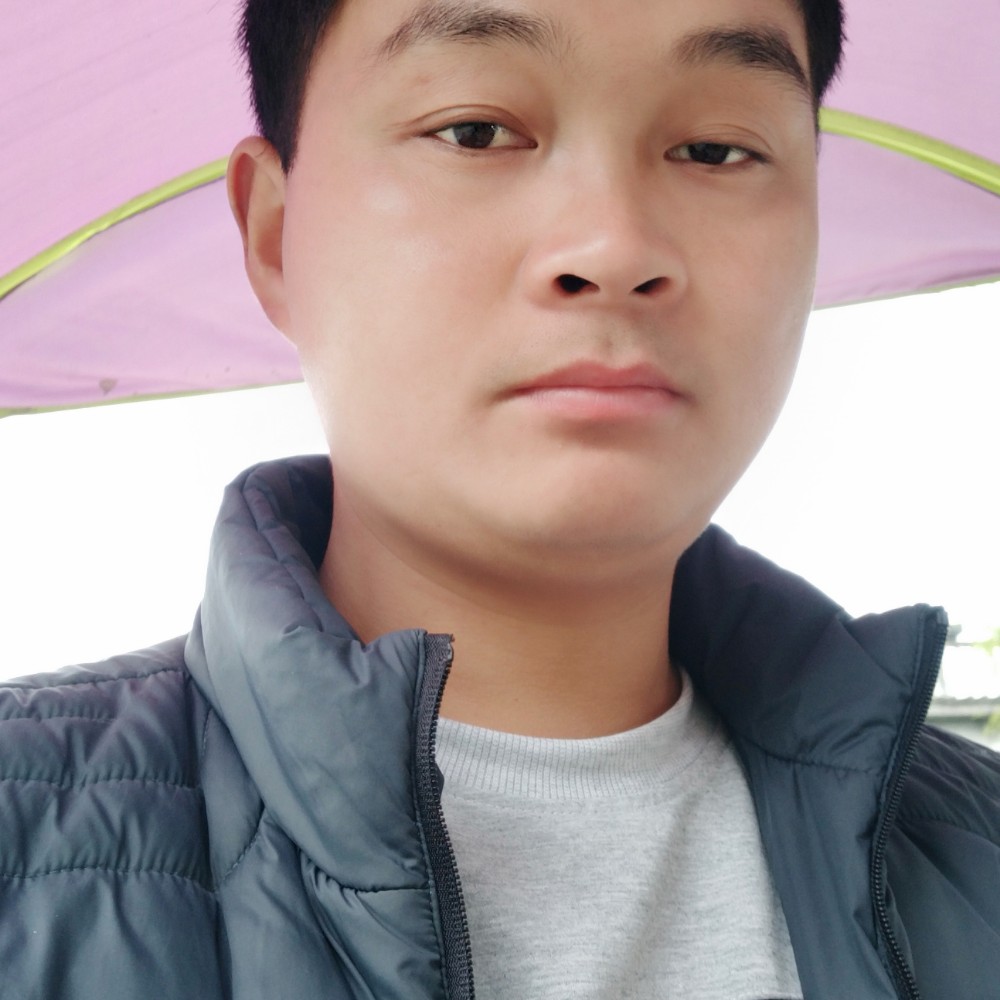 风中的惊鸿的照片