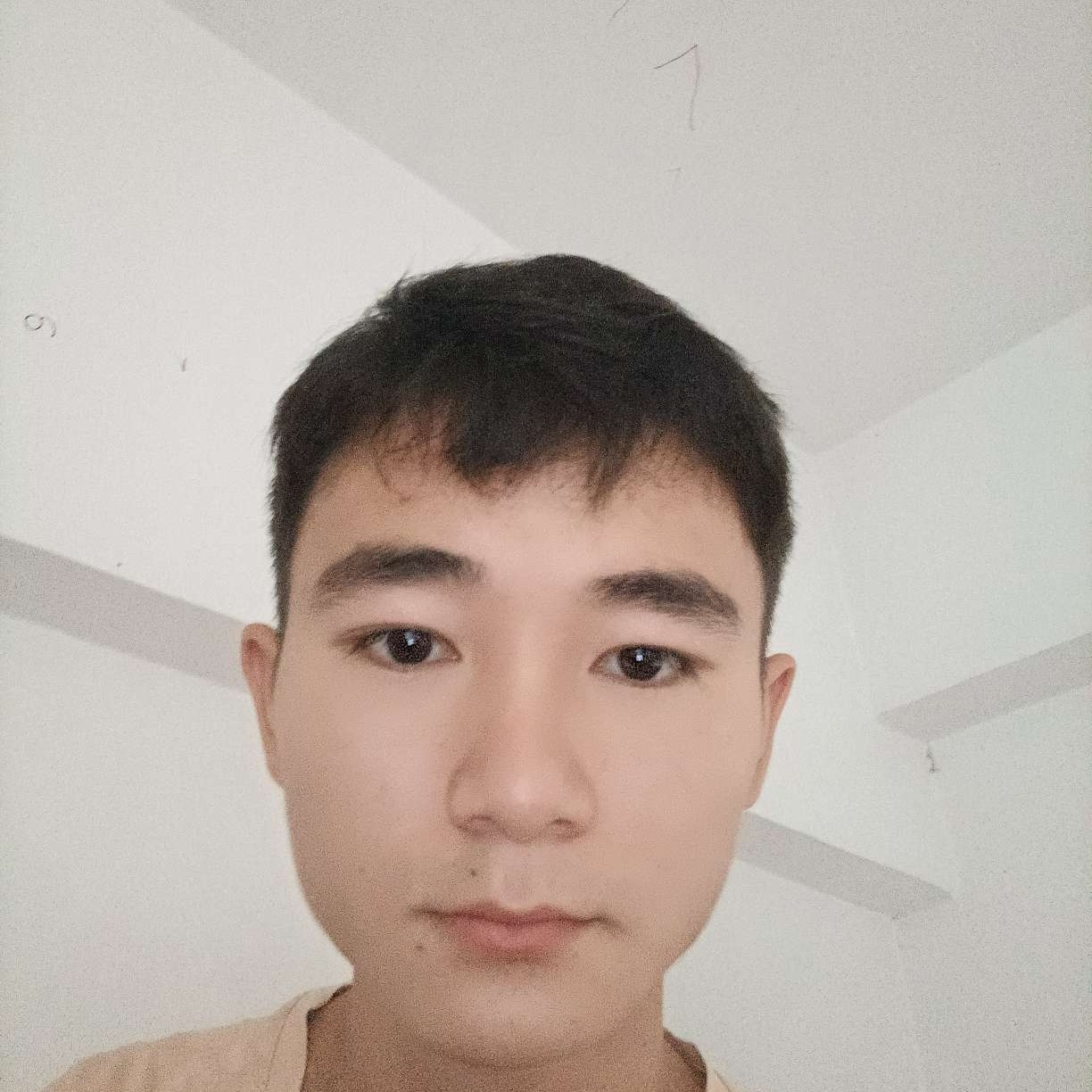 鼠标改变繁荣的照片