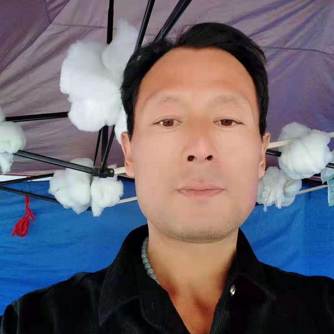 绚烂深拥青花的照片