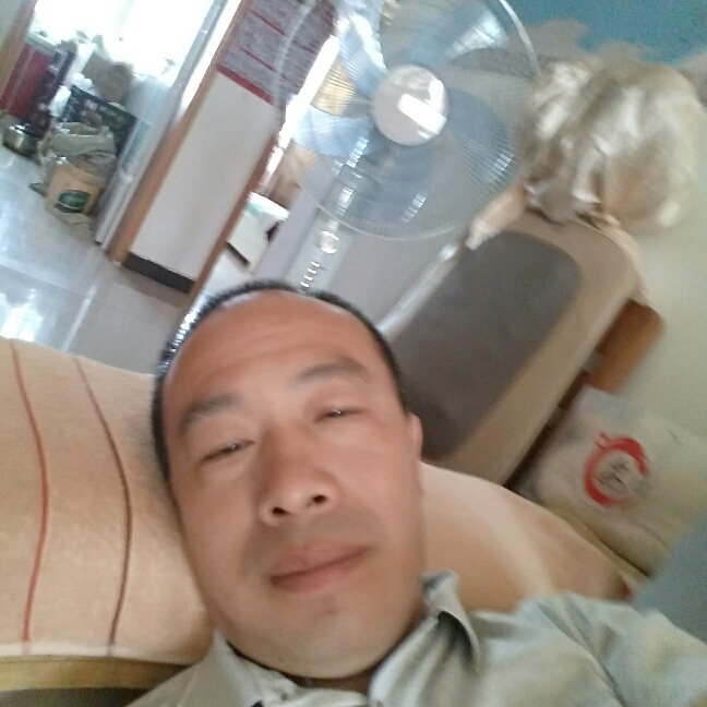 纸鹤酷炫的照片