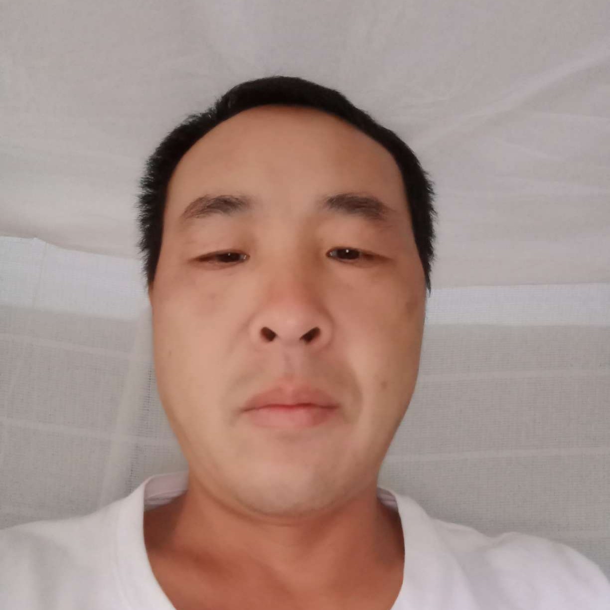 过客说怕孤独的照片