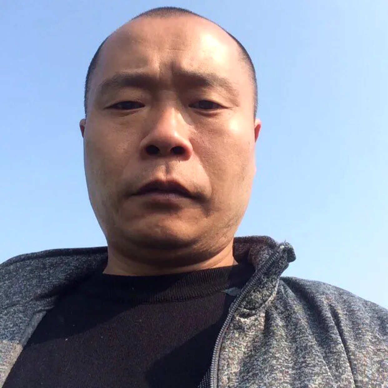 芝麻的务实的照片