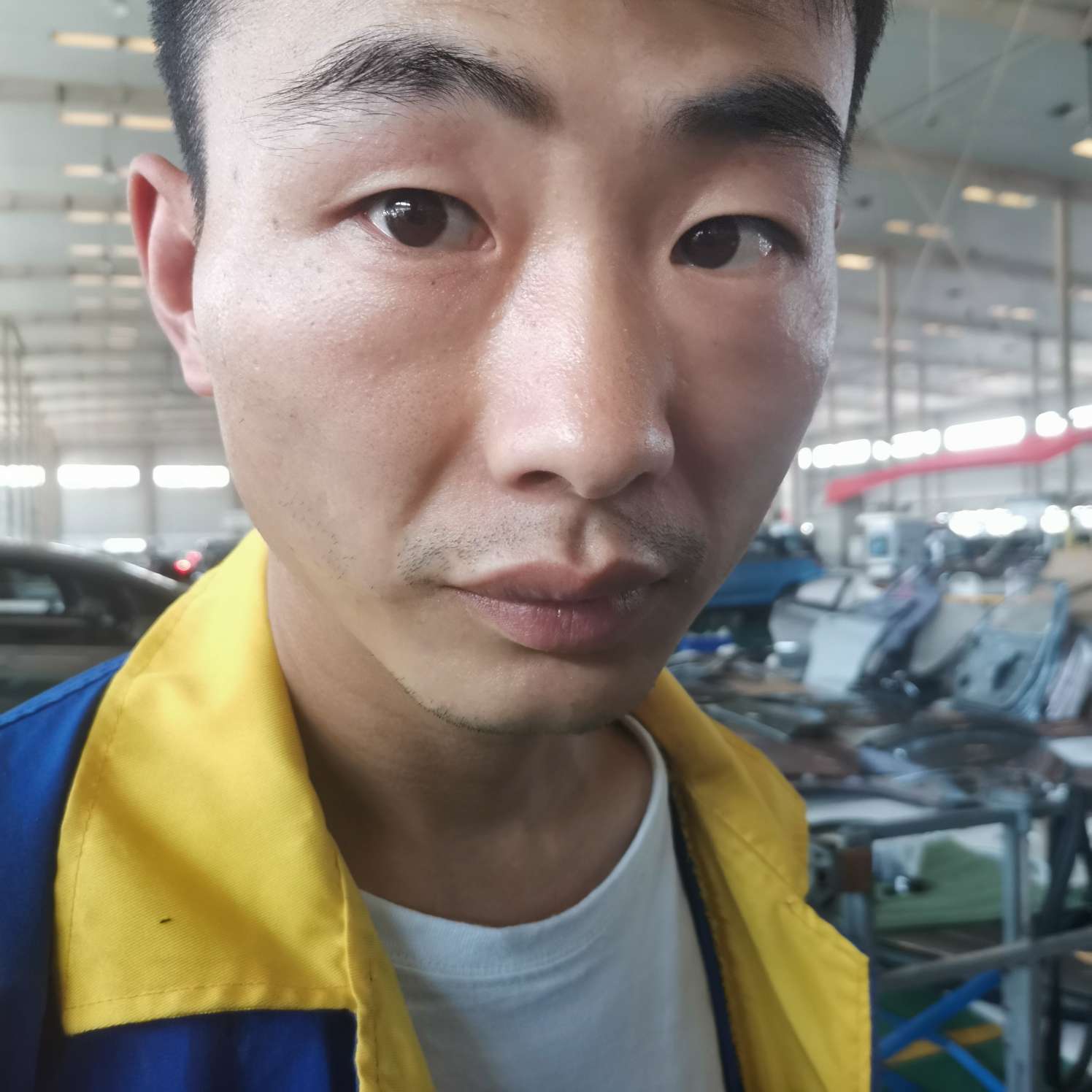 懵懂踢晨阳的照片