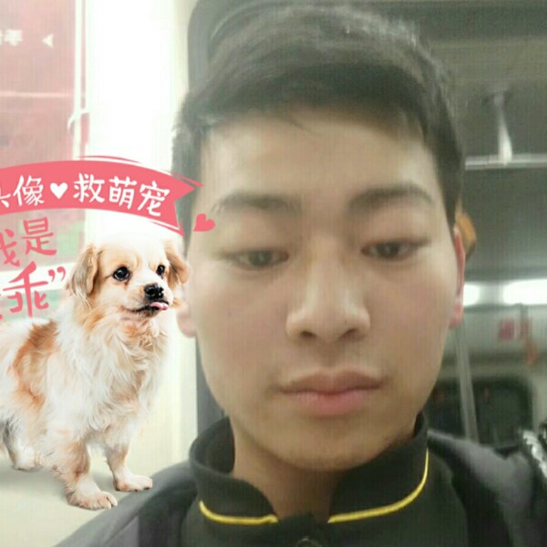 发才的照片