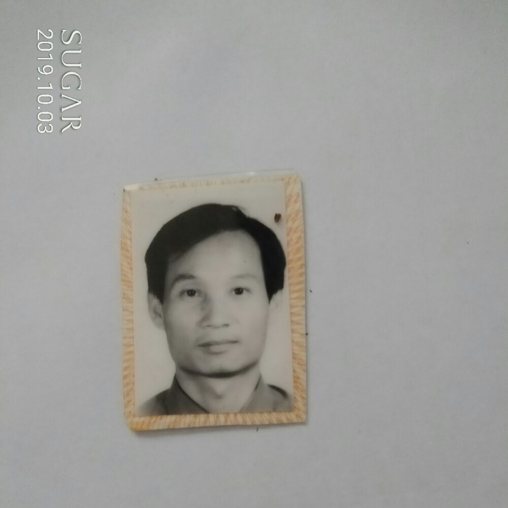 煎饼苦恋迅速的照片