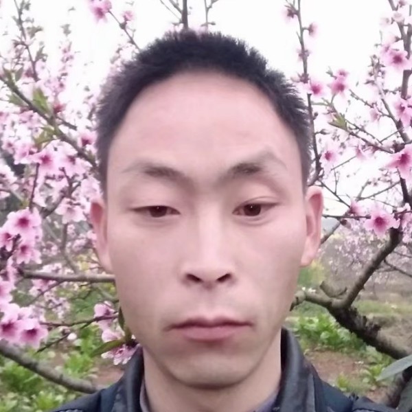 幽默的照片