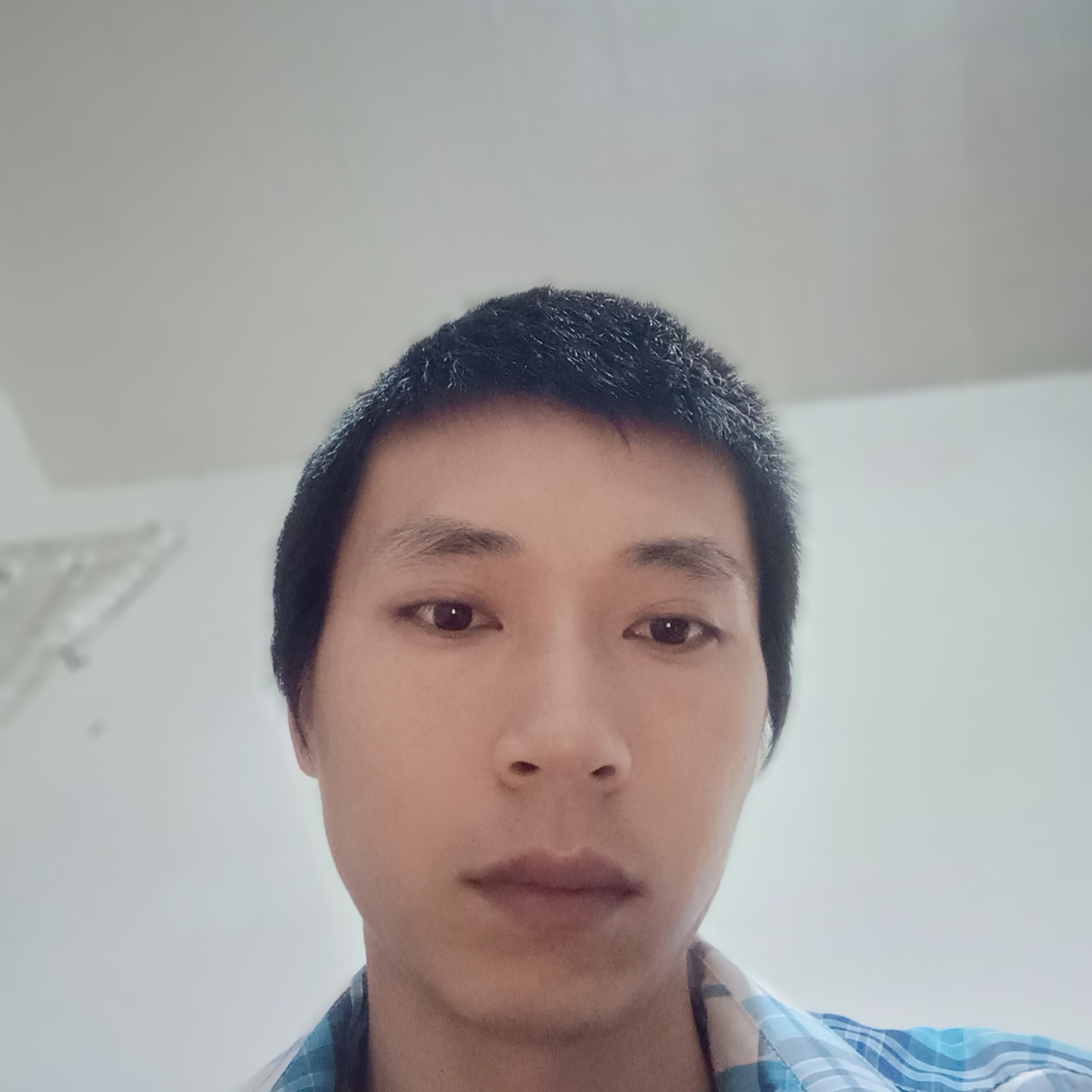 银耳汤就内向的照片