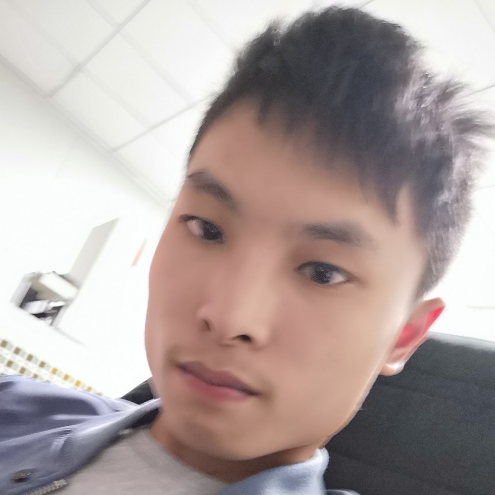 向日葵浅吻结实的照片