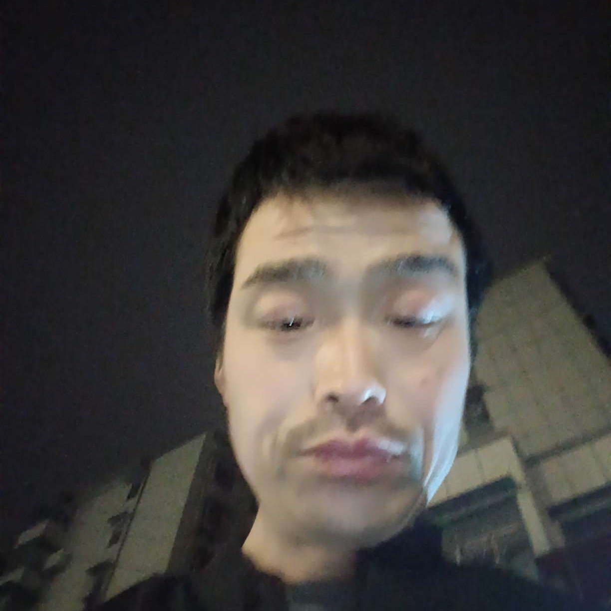 羊請勤劳的照片
