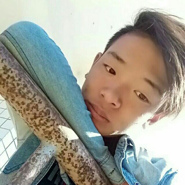 雪见笑旧颜的照片