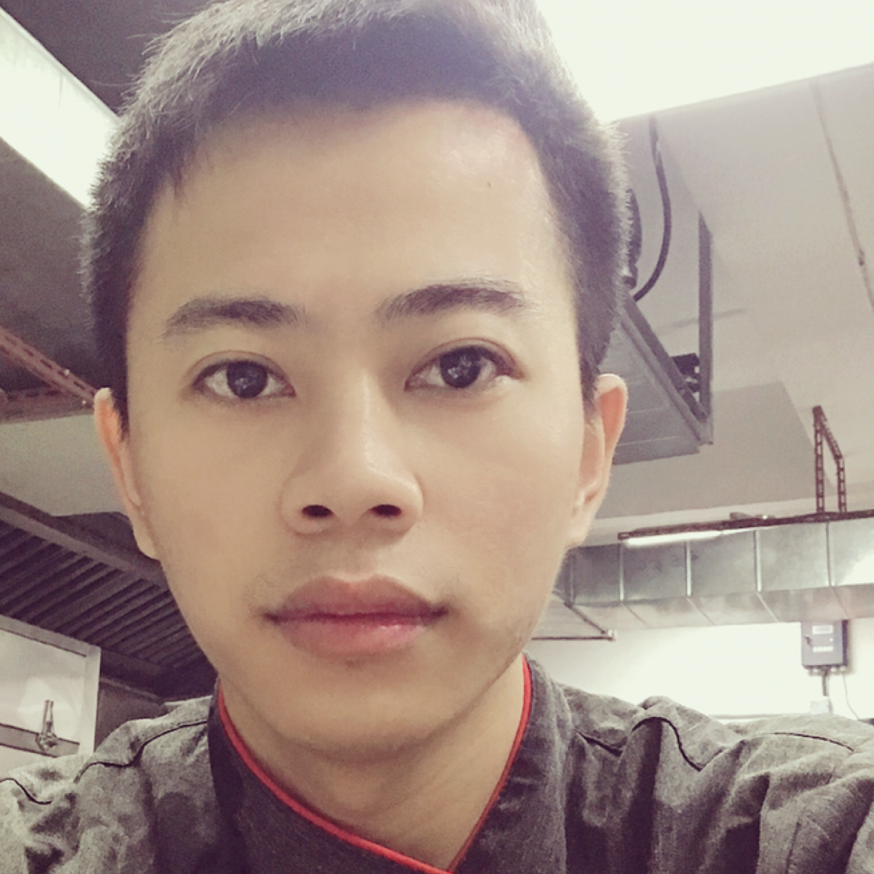 迷茫大海豚的照片