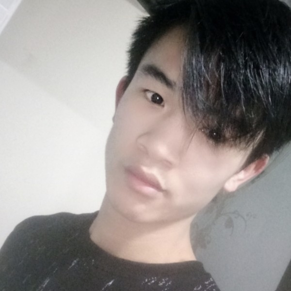 柠檬从容的照片