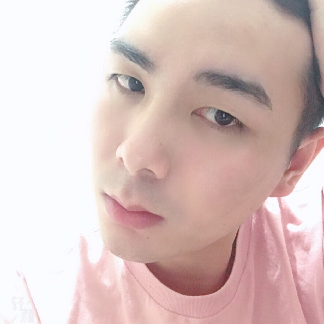 李子藤的照片