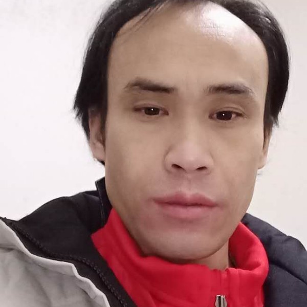 老虎漫步激情的照片