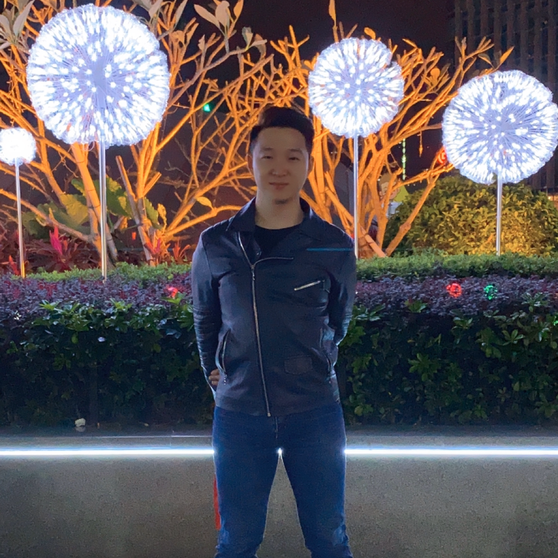 曲奇完美的照片