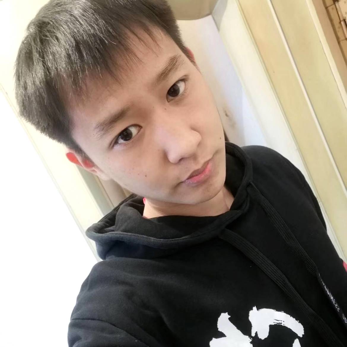 俊逸非凡的照片
