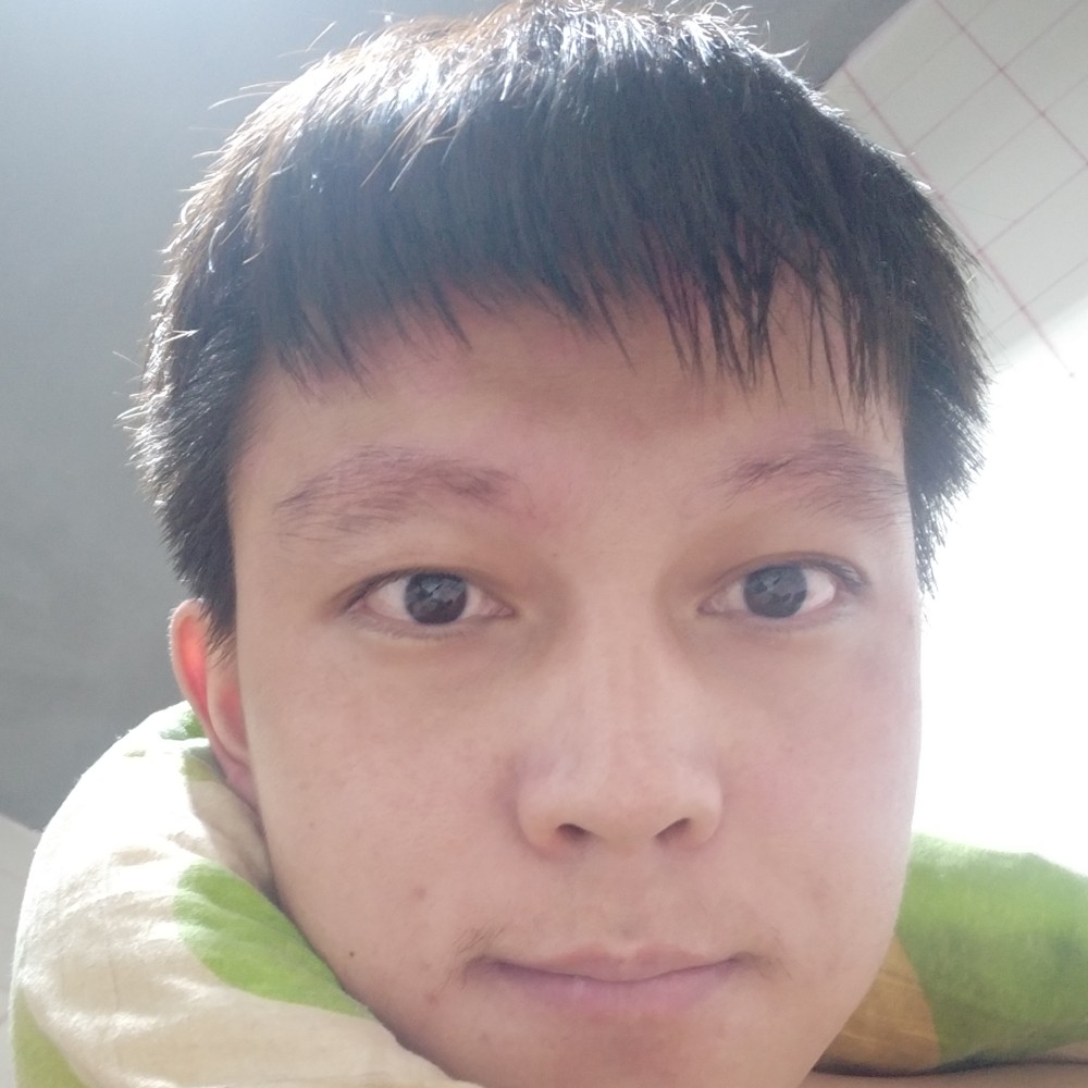 蚂蚁扯拉长的照片