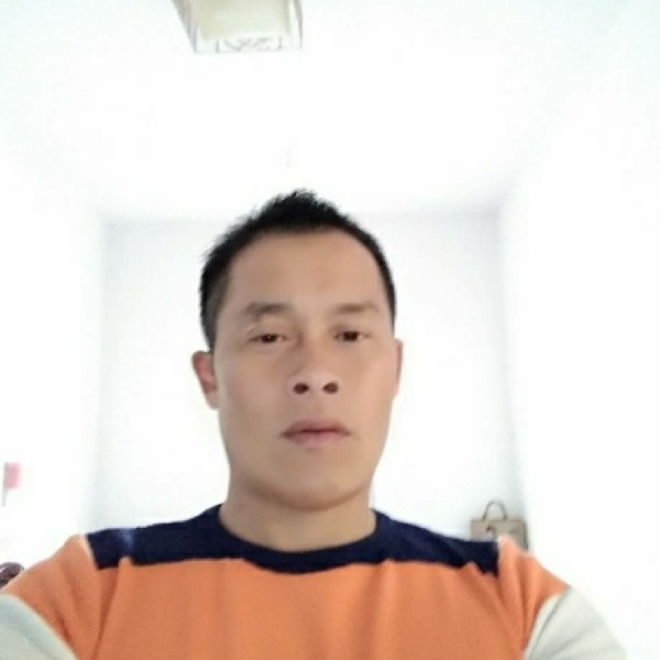 饿狼的传说的照片
