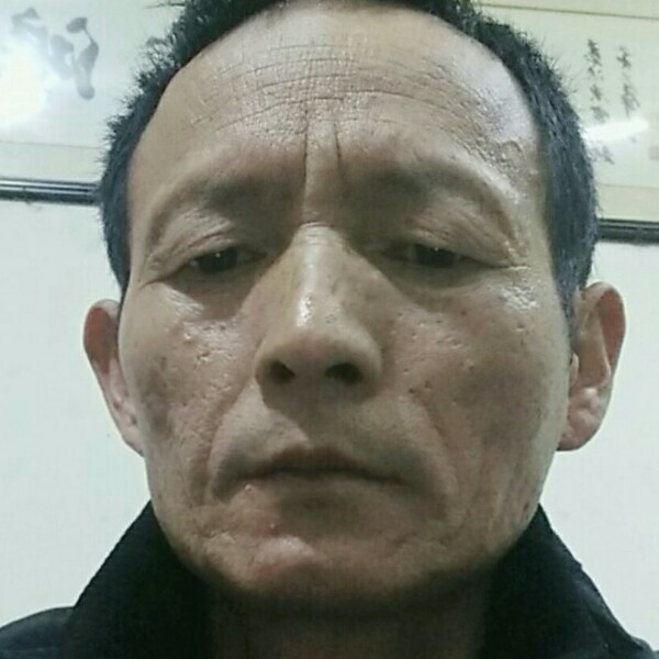 忧郁爱小鸽子的照片