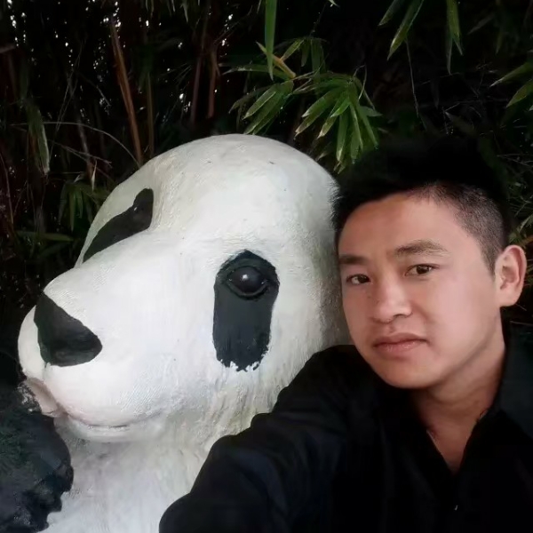 小蚂蚁苦恋无奈的照片