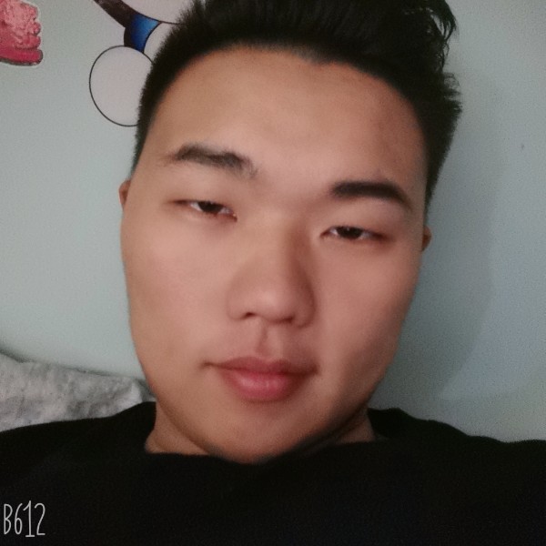 淡然邂逅灰狼的照片