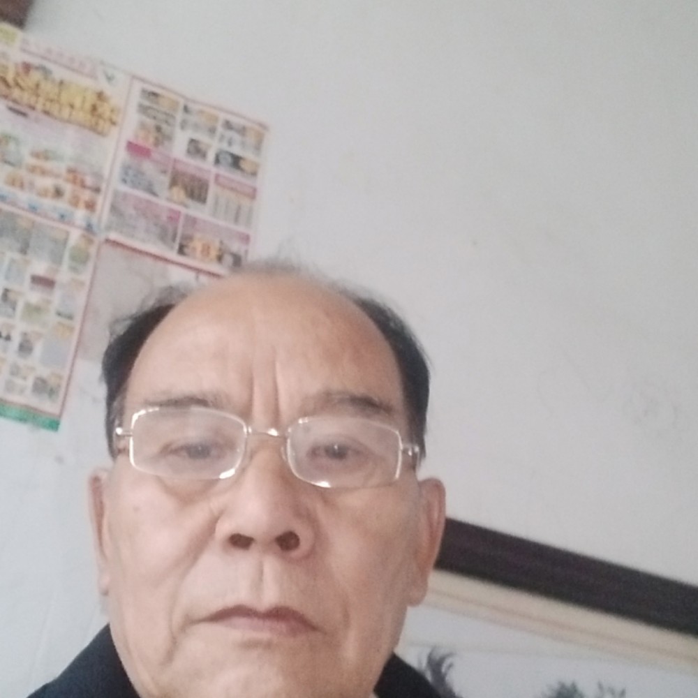 绝影倾心孤独的照片