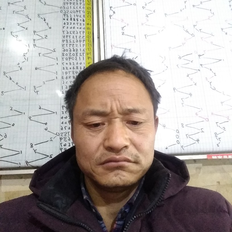 九百九十朵玫瑰的照片