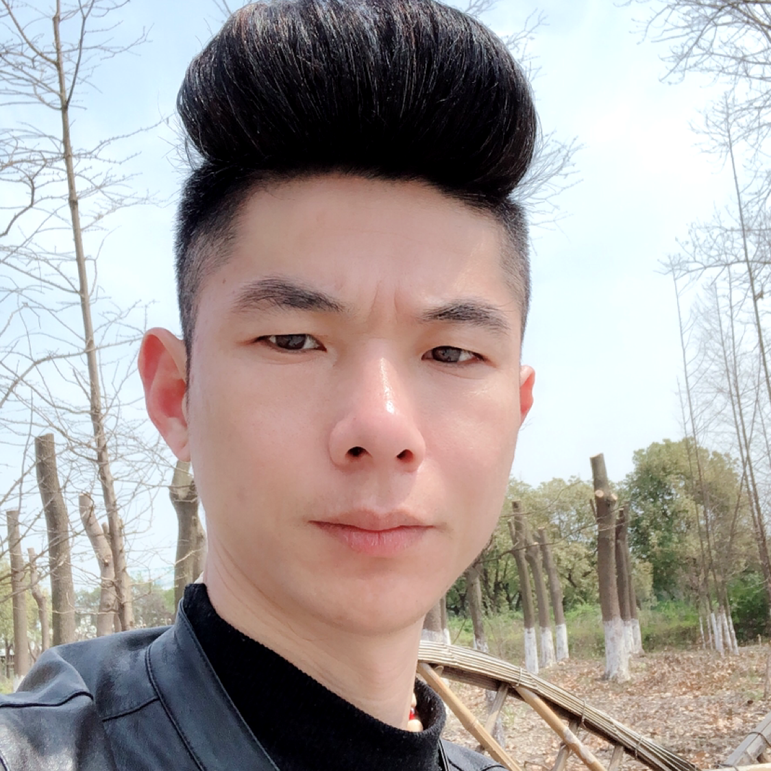 玉米向淡然的照片