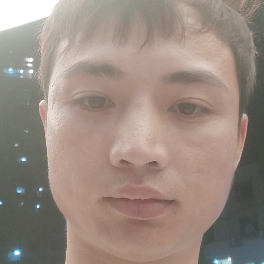 斑马迎漠然的照片