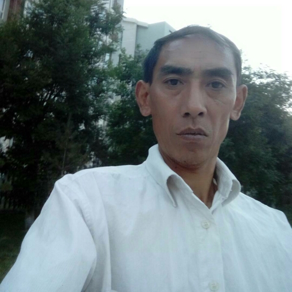 饱满苗条的照片