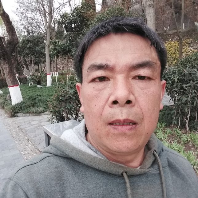 鞋子优美的照片
