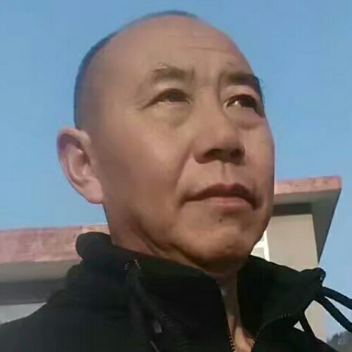 夜树的照片