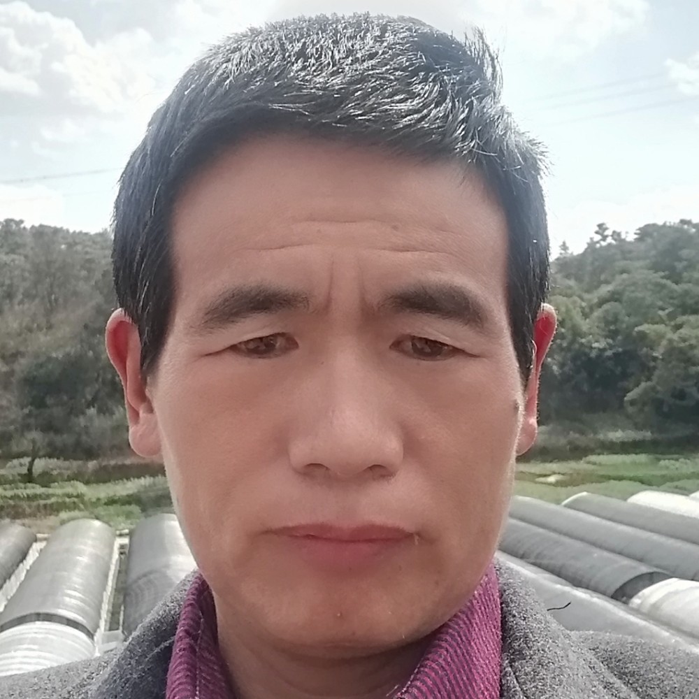 踏实给离歌的照片