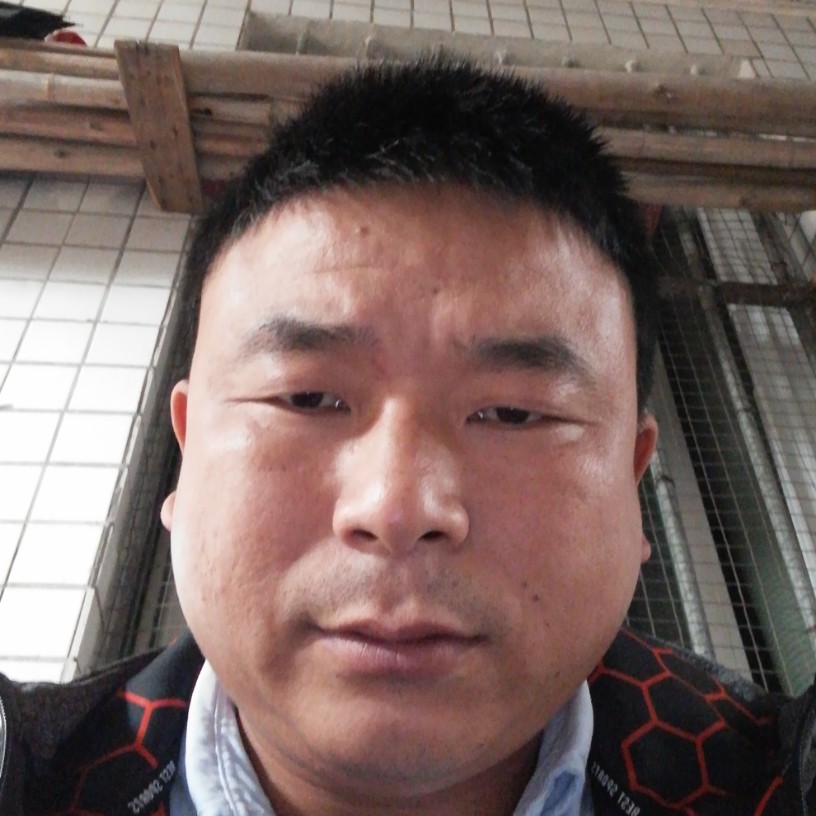 狗老大的照片