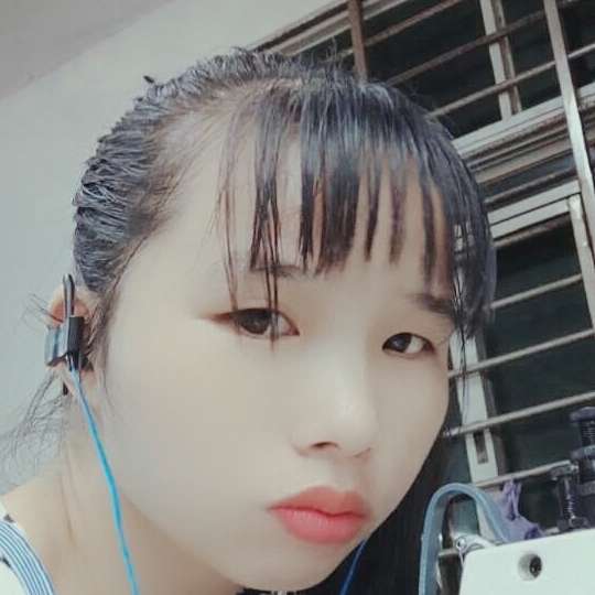 小兔子漫步激动的照片